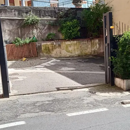 Marilyn Pallanza Parking Free