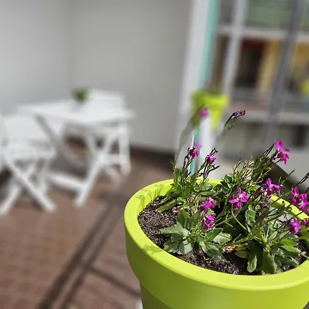 Marilyn Pallanza Parking Free Lägenhet *