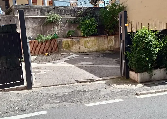 Marilyn Pallanza Parking Free